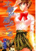 太陽が落ちてくる2(リアルパラダイス)