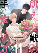 飢えた獣の手懐け方（フルカラー）【おまけ付き特装版】 11(シーモアコミックス)
