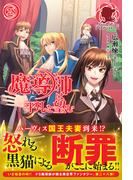 魔導師は平凡を望む　28(アリアンローズ)