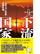 大下流国家～「オワコン日本」の現在地～(光文社新書)
