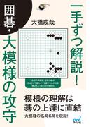 一手ずつ解説！ 囲碁・大模様の攻守(囲碁人ブックス)