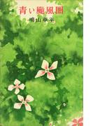 青い颱風圏(ＲＯＭＡＮＢＯＯＫＳ)