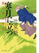 寒月に立つ　風の市兵衛　弐［29］(祥伝社文庫)