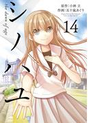 シノハユ the dawn of age 14巻(ビッグガンガンコミックスSUPER)