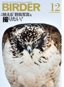BIRDER2021年12月号