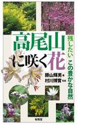 高尾山に咲く花