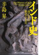 インド史　南アジアの歴史と文化(角川ソフィア文庫)