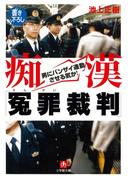 痴漢「冤罪裁判」（小学館文庫）(小学館文庫)