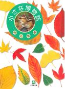 小さな博物誌（小学館文庫）(小学館文庫)