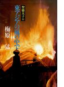 聖徳太子III東アジアの嵐の中で