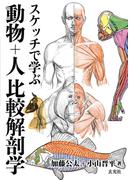 スケッチで学ぶ 動物+人比較解剖学
