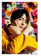 駒田航のKomastagram 2nd PHOTO FRAME