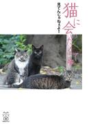 猫に会いたくて　見てんじゃねぇよ！(猫パンチ)