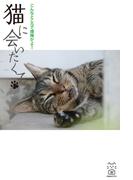 猫に会いたくて　こんなところ爆睡かよ！(猫パンチ)