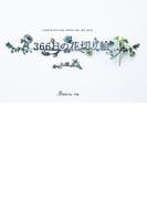 ３６６日の花切り絵