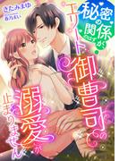 秘密の関係のはずが、エリート御曹司の溺愛が止まりません(こはく文庫)