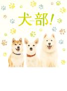 映画「犬部！」劇場パンフレット