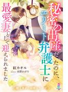秘密の出産だったのに、エリート弁護士に最愛妻として迎えられました【極上男子の結婚シリーズ】(マカロン文庫)