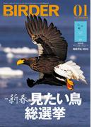BIRDER2022年1月号