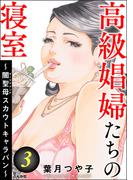 高級娼婦たちの寝室 ～闇聖母スカウトキャラバン～ （3）(ストーリーな女たち)