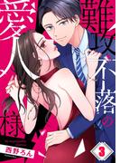 難攻不落の愛人様（３）(CocoCheek)