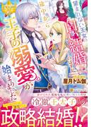 精霊地界物語 ４の通販 山梨 ネコ レジーナブックス 紙の本 Honto本の通販ストア