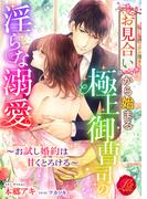 お見合いから始まる極上御曹司の淫らな溺愛　～お試し婚約は甘くとろける～(濃蜜ラブルージュ)