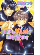 王子もキスで目を覚ます(アイスノベルズ)