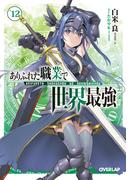ありふれた職業で世界最強 12(オーバーラップ文庫)