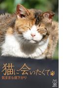 猫に会いたくて　気ままな昼下がり(猫パンチ)