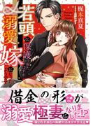 若頭に保護されたはずが溺愛嫁になったようです(ヴァニラ文庫)
