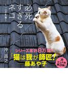 必死すぎるネコ ～一心不乱篇～