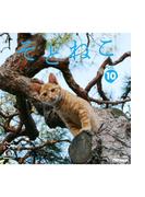 そとねこ　VOL.10