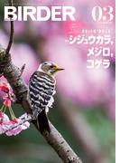 BIRDER2022年3月号