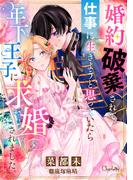 婚約破棄されて仕事に生きようと思っていたら年下王子に求婚されました。(シャルロット文庫)