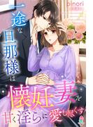 一途な旦那様は懐妊妻を甘く淫らに愛し尽くす(マカロン文庫)