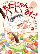 ちたにゃんがきた！てぶくろ仔猫と私たち(ペット宣言)