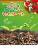 ミニトマト