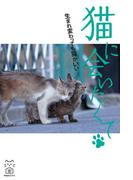 猫に会いたくて　生まれ変わっても猫がいい(猫パンチ)