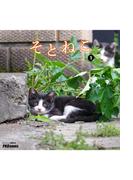 そとねこ　VOL.01