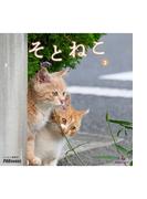 そとねこ　VOL.03