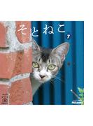 そとねこ　VOL.07