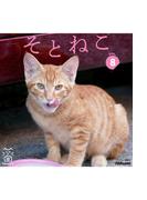 そとねこ　VOL.08