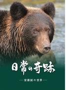日常の奇跡―― 安藤誠の世界 ――