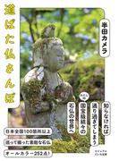 道ばた仏さんぽ(ビジュアルだいわ文庫)