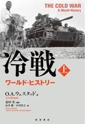 冷戦　ワールド・ヒストリー　上