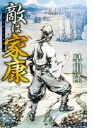 敵は家康(アルファポリス)