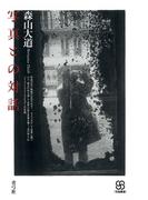 写真との対話(写真叢書)