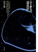 ニーチェの遠近法