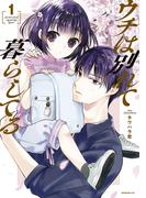 【全1-3セット】ウチは別れて暮らしてる